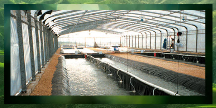 Permalon L20 Black- Aquaculture, Ponds, Tanks, Fish Safe-jpg-3