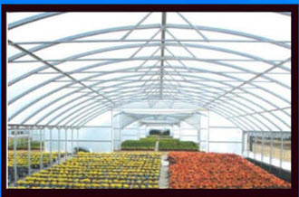 Standard Greenhouse Plastic 1mil to 6 mil