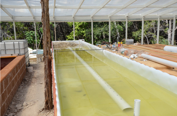 Ultra_Scrim_SR_20WW_Fish_safe_for_aquaponics